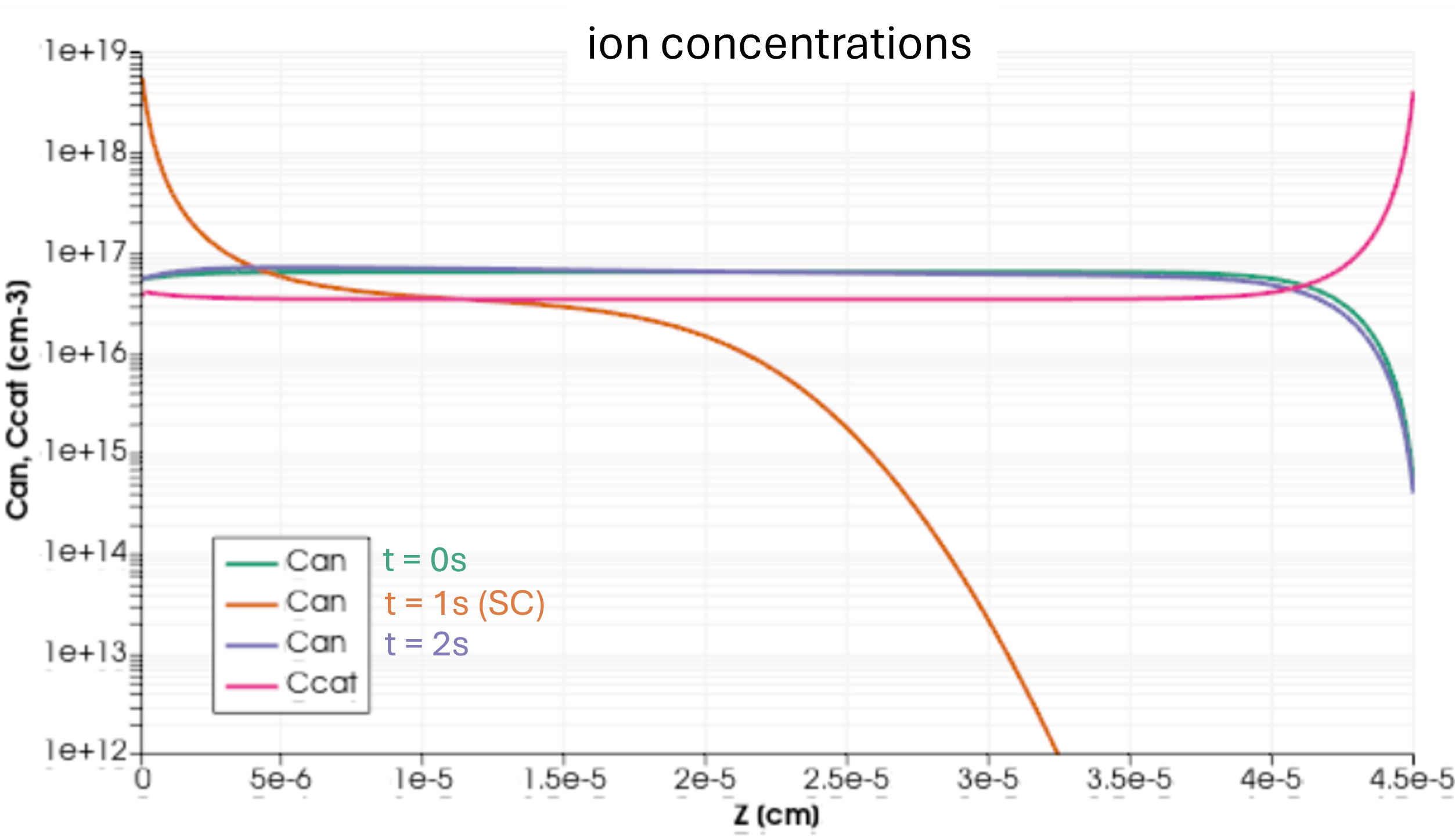 ion concentrations at various time stamps